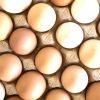 Куриное яйцо С1, С0 — изображение 3