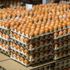 Куриное яйцо С1, С0