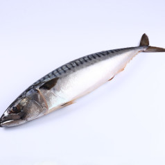 Скумбрия (400-600)