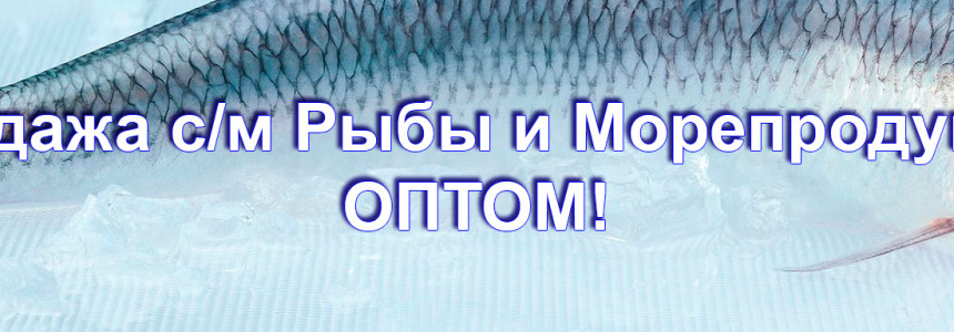 Продажа рыбы и морепродуктов оптом!