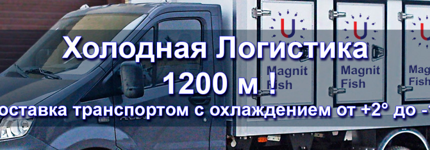 Холодная логистика 1200 м. кв.!