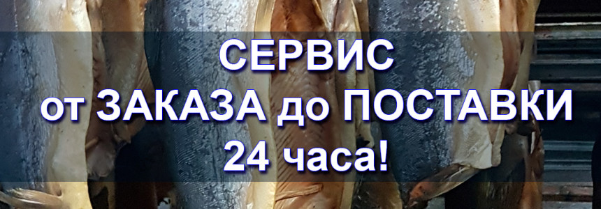 Сервис от заказа до поставки 24 часа