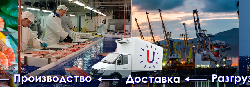 Кто мы такие?